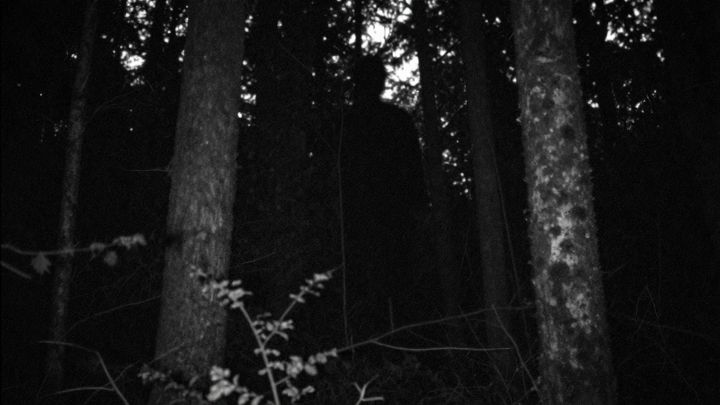 Illustration evoking the mood of cryptid sightings — not a depiction of any reported event.
