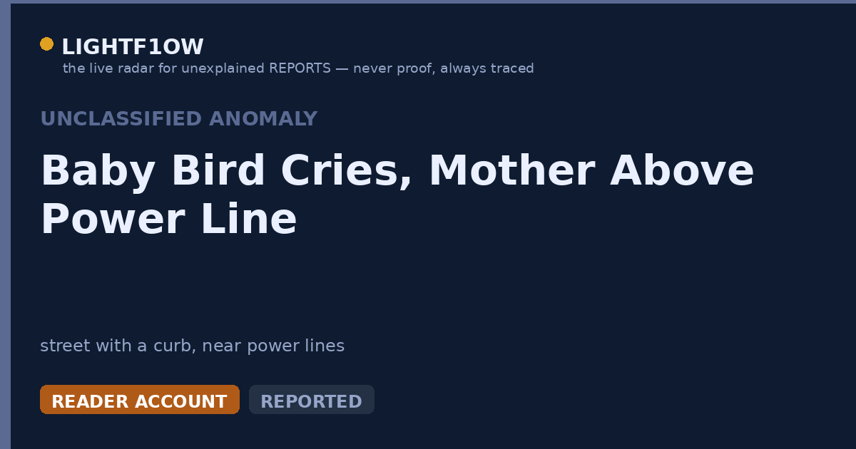 Baby Bird Cries, Mother Above Power Line