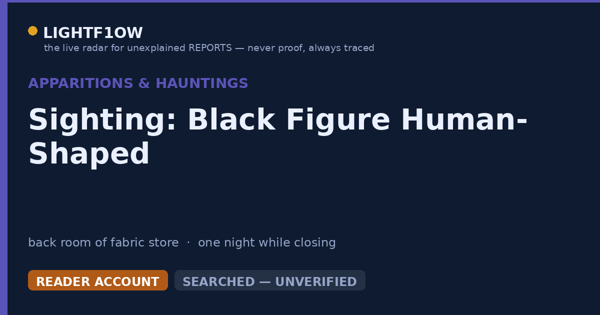 Sighting: Black Figure Human-Shaped