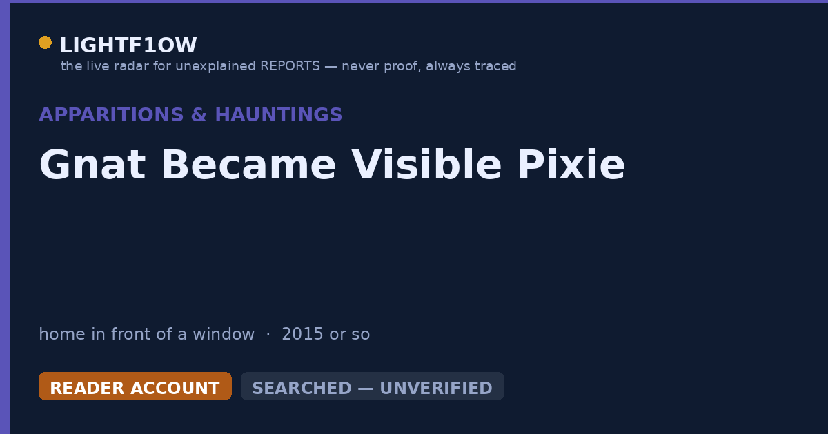 Gnat Became Visible Pixie