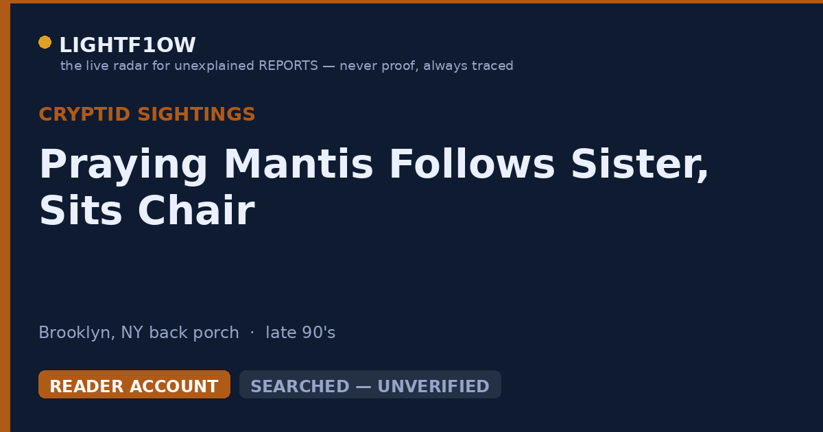 Praying Mantis Follows Sister, Sits Chair