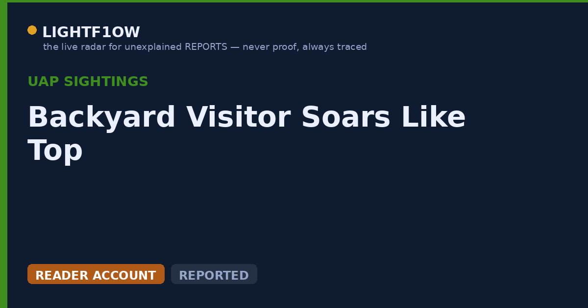 Backyard Visitor Soars Like Top