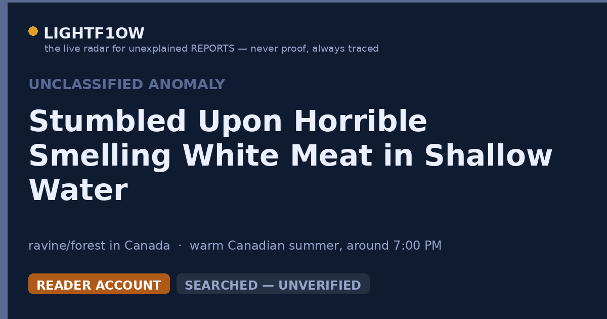 Stumbled Upon Horrible Smelling White Meat in Shallow Water