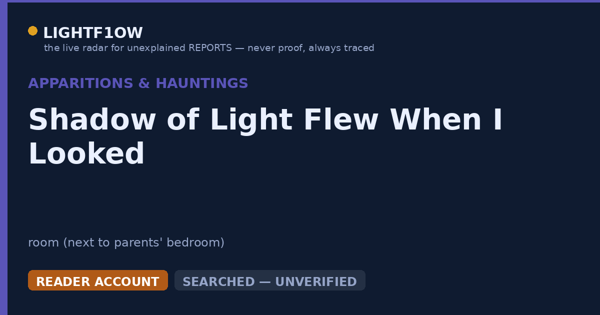 Shadow of Light Flew When I Looked